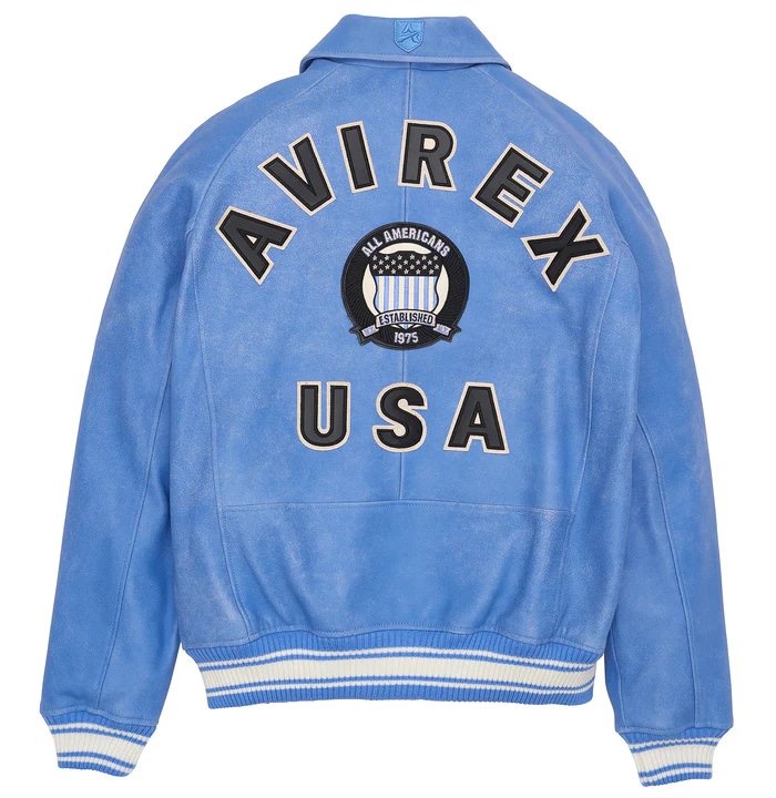 Avirex Vintage Denim Icon Leather Jacket – Back View 2