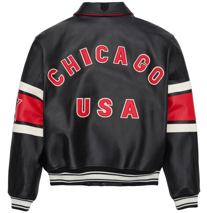Avirex Chicago Leather Bomber Jacket – Back View