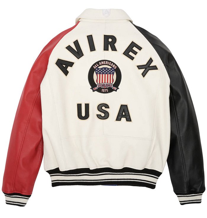 Avirex Color Block Icon Leather Bomber Jacket – Back View