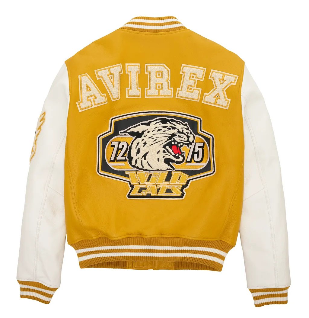 Avirex Yellow Wildcat Leather Varsity Jacket – Back View